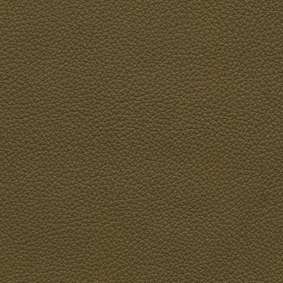 Palomadark olive